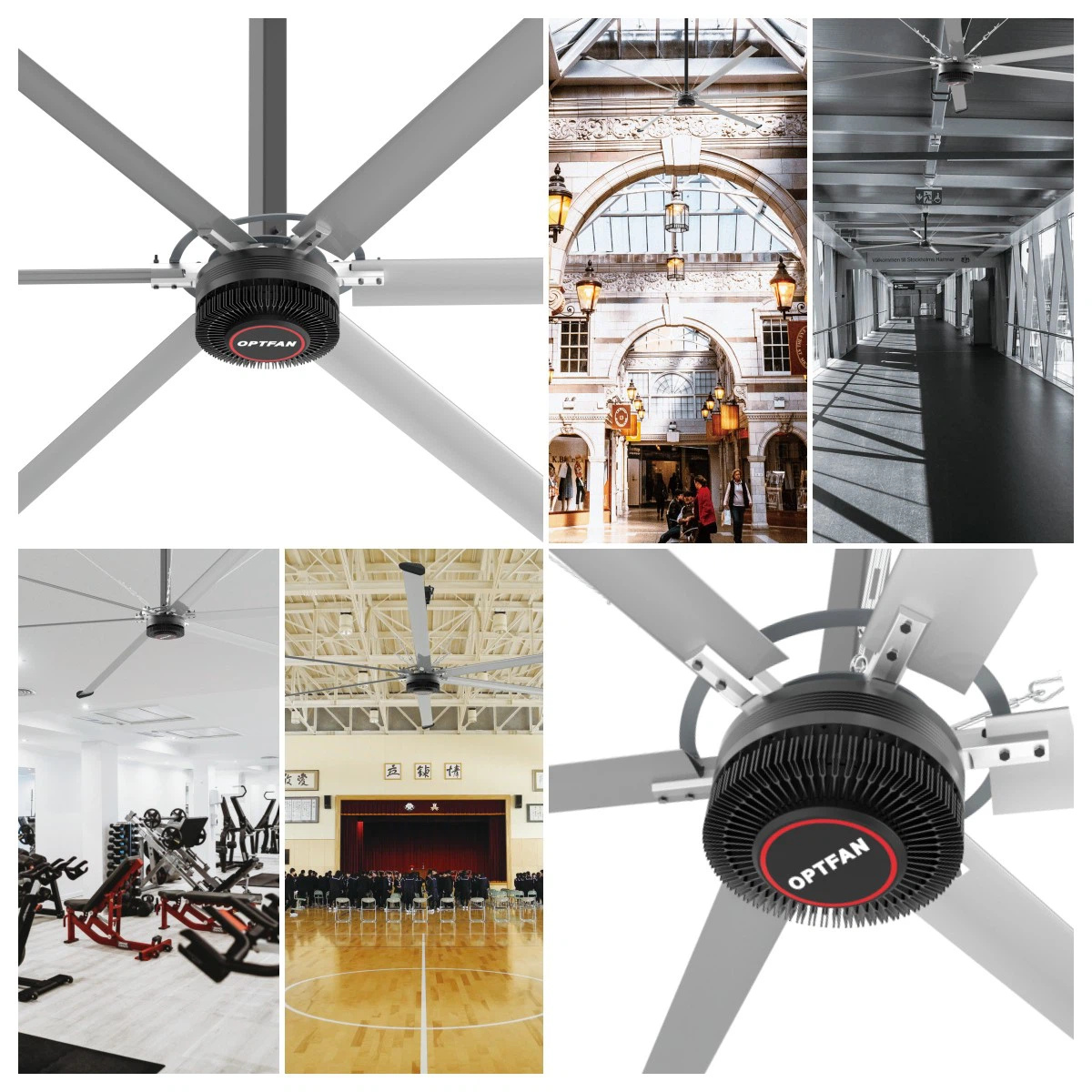 product-1200-1200 product-1200-1200